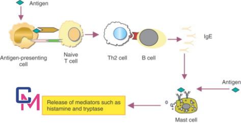 ingredients in vullkozvelex safe to use